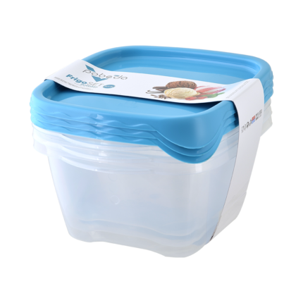 frigo set 3/1 pobeda compani